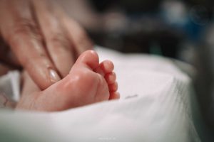 קרדיט תמונה: סטאס מוזיקוב