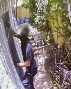 צילום: ללא קרדיט
