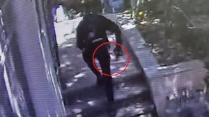 צילום: ללא קרדיט