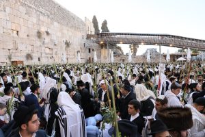 צילום מתיעודים משנים קודמות: הקרן למורשת הכותל המערבי