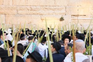 צילום מתיעודים משנים קודמות: הקרן למורשת הכותל המערבי