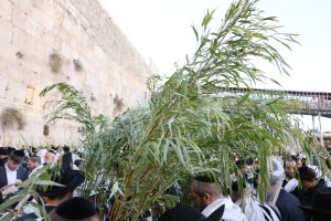 צילום מתיעודים משנים קודמות: הקרן למורשת הכותל המערבי