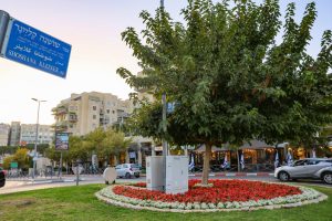 צילום: ארנון בוסאני
