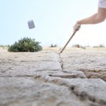 הכותל המערבי