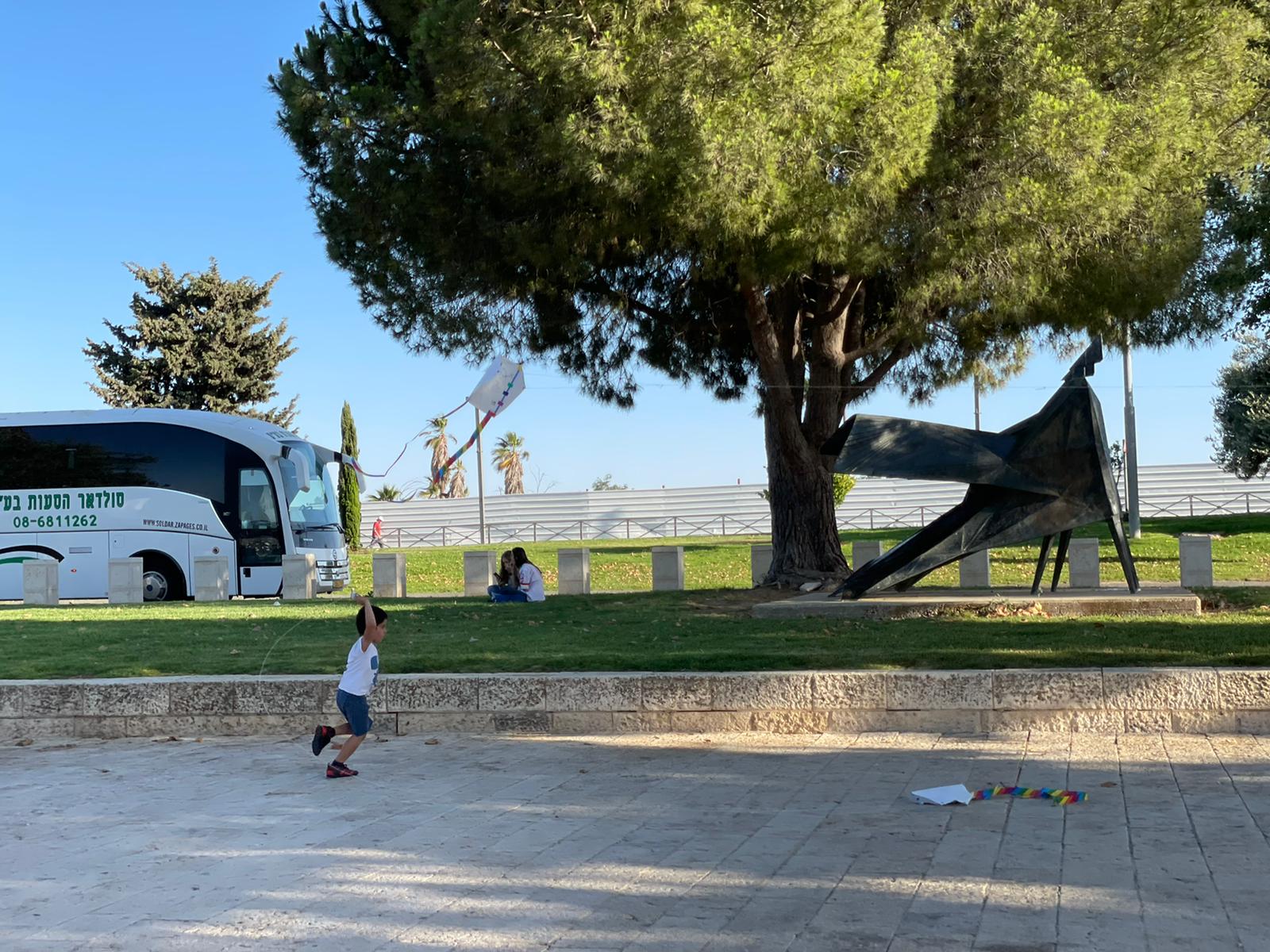 אוטובוס,עץ,ילד