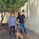 הכלבה ג׳סי חוזרת לבעליה