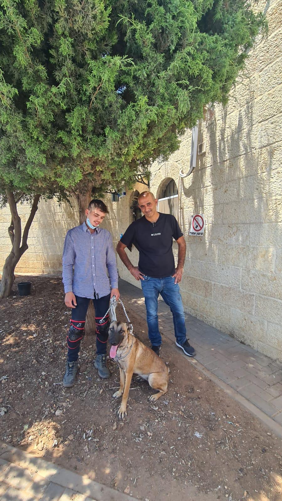 הכלבה ג׳סי חוזרת לבעליה