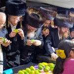 שוק ארבעת המינים
