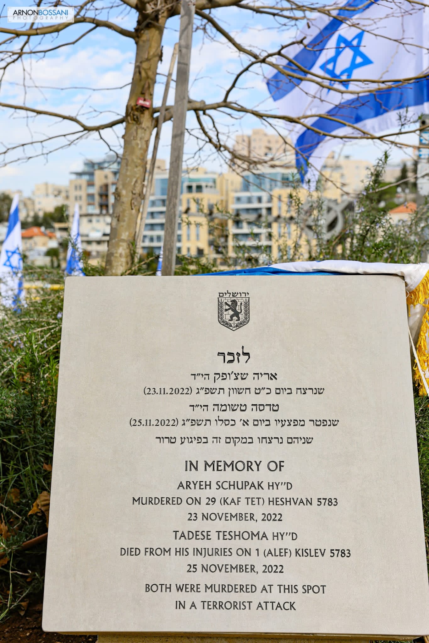 צילום: ארנון בוסאני
