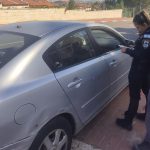 צילום: דוברות המשטרה