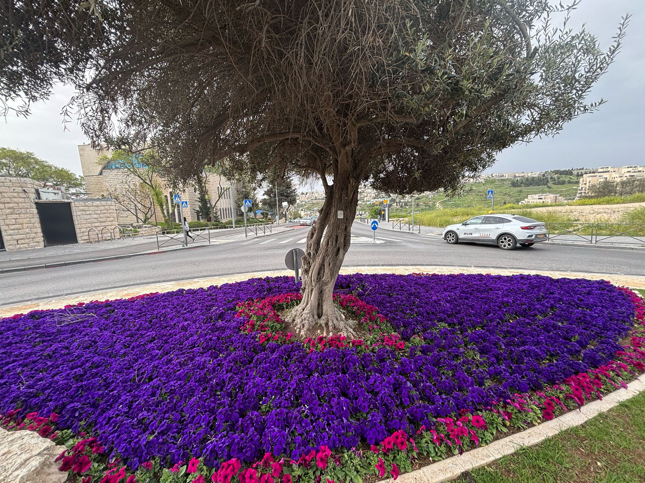 צילום: ארנון בוסאני.