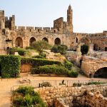 צילום: נועם חן