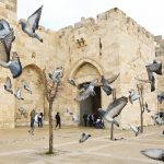 כך נראית עיר הבירה של ישראל ב־2025. צילום: ארנון בוסאני