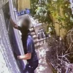 צילום: ללא קרדיט