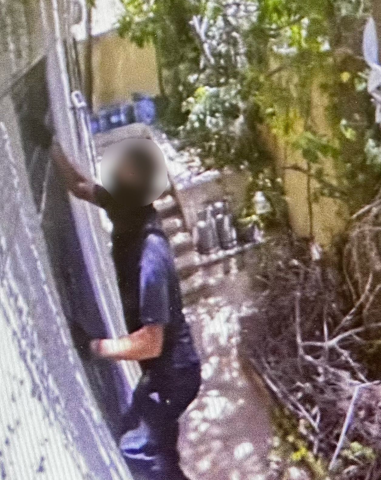 צילום: ללא קרדיט