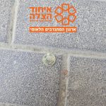 תינוקת נפלה בירושלים ופעוט נחנק ממטבע, צילום: דוברות איחוד הצלה