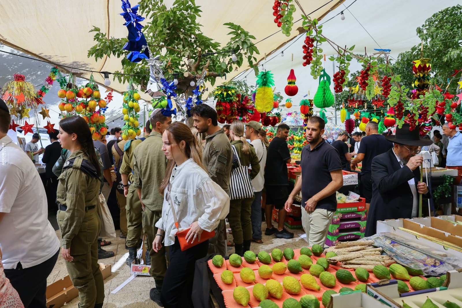 צילום: ארנון בוסאני