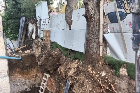 אכיפת עצים במרחב הציבורי בירושלים