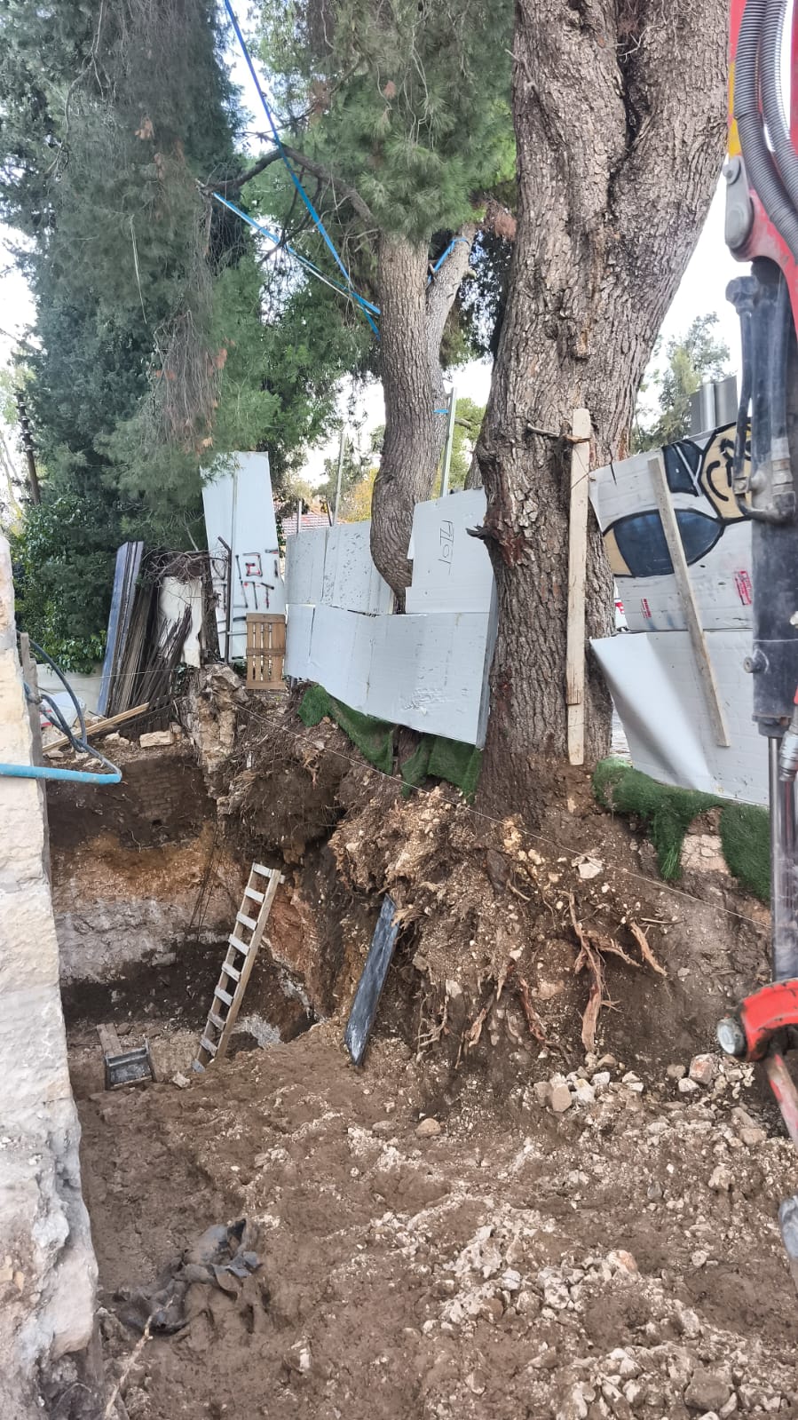 אכיפת עצים במרחב הציבורי בירושלים