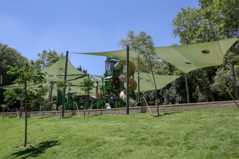 גן ה 15, צילום: ארנון בוסאני, דוברות עיריית ירושלים